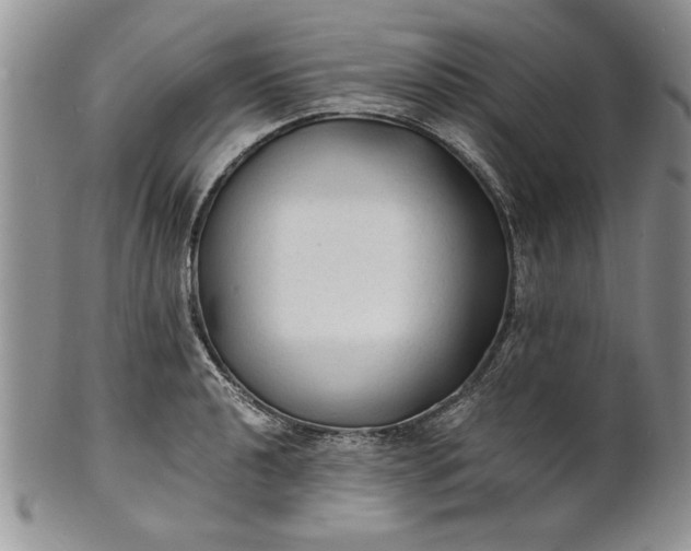 X0000101951040200808011041