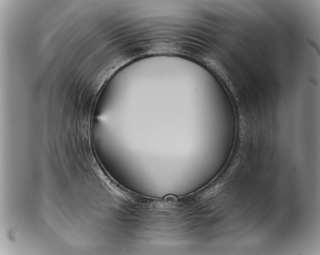 X0000101951041200808011041