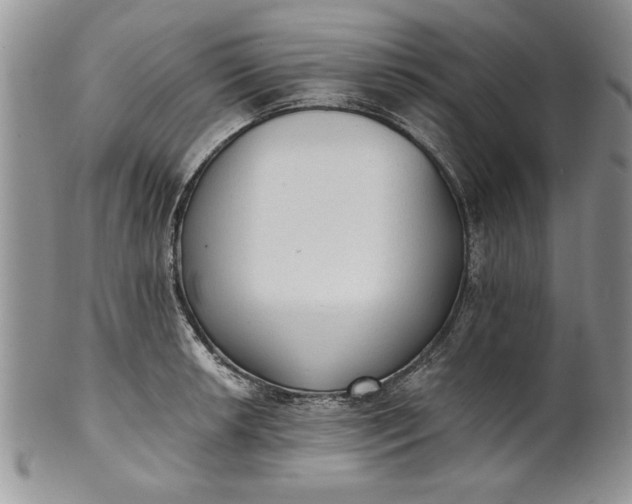 X0000101951042200808011041