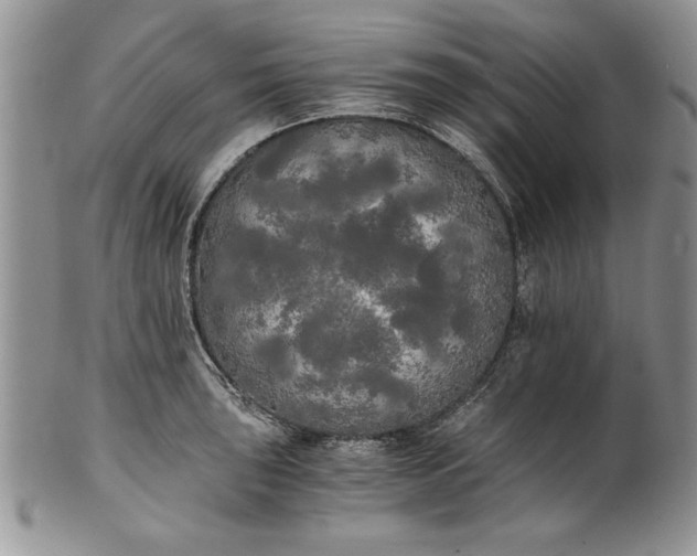 X0000101951043200808011041