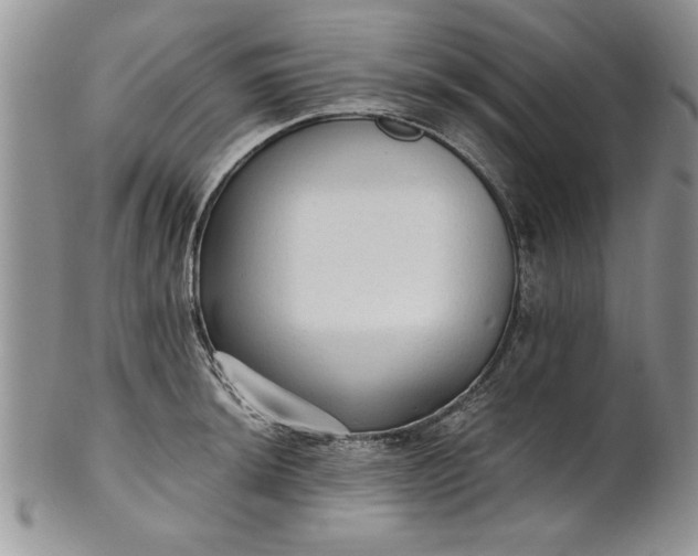 X0000101951044200808011041