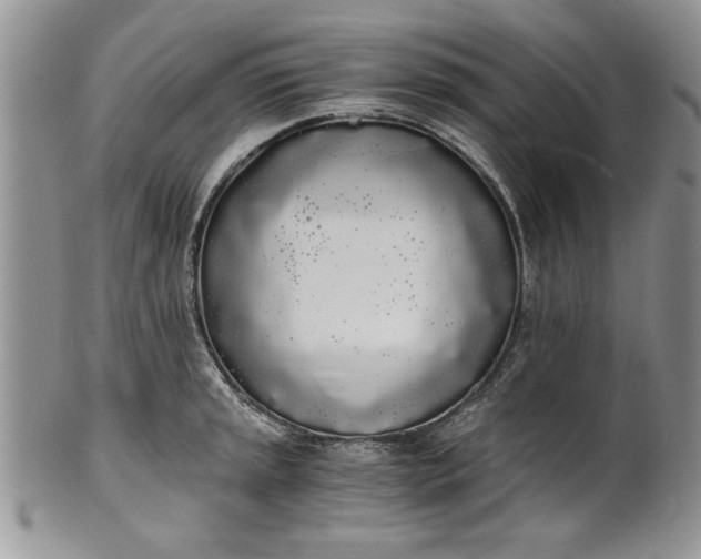 X0000101951045200808011041