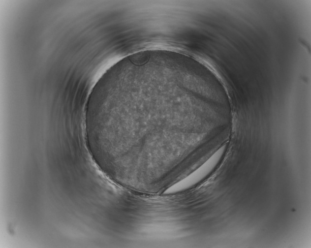 X0000101951048200808011041