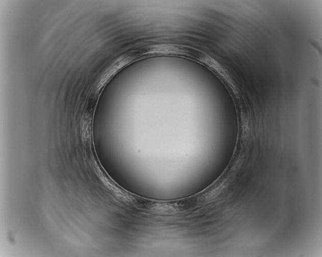 X0000101951049200808011041