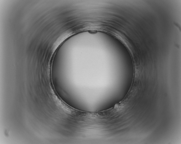 X0000101951050200808011041