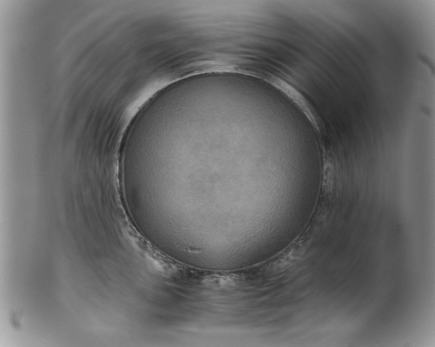 X0000101951051200808011041