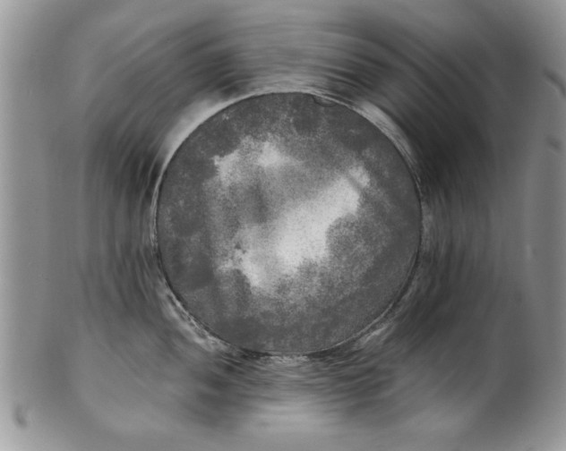 X0000101951052200808011041