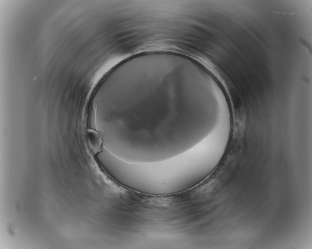 X0000101951053200808011041