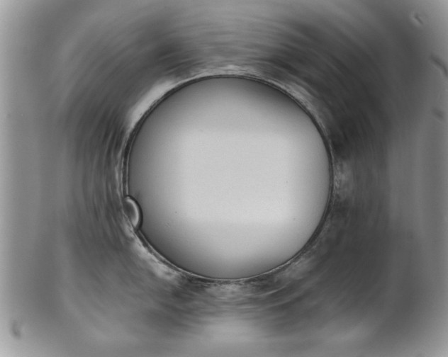 X0000101951054200808011041