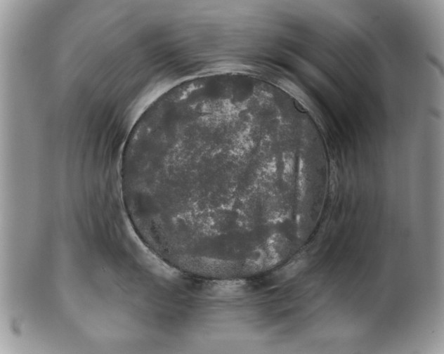 X0000101951055200808011041