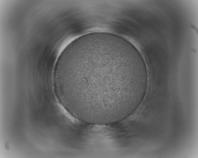 X0000101951056200808011041