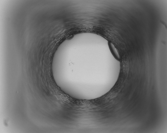 X0000101951057200808011041