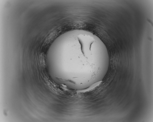 X0000101951058200808011041