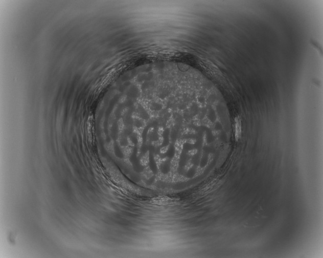 X0000101951059200808011041