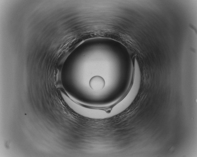 X0000101951060200808011041