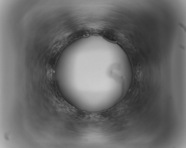 X0000101951061200808011041