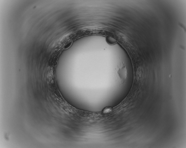 X0000101951062200808011040