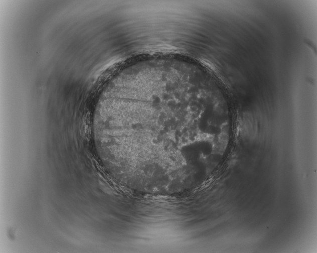 X0000101951063200808011040