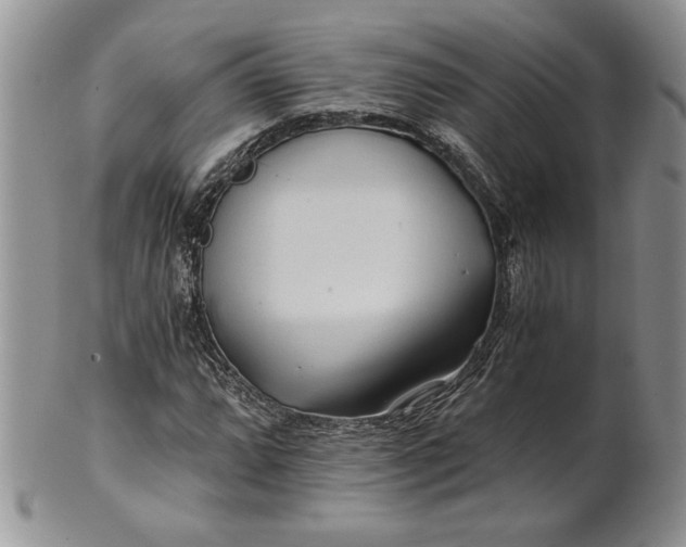 X0000101951064200808011040