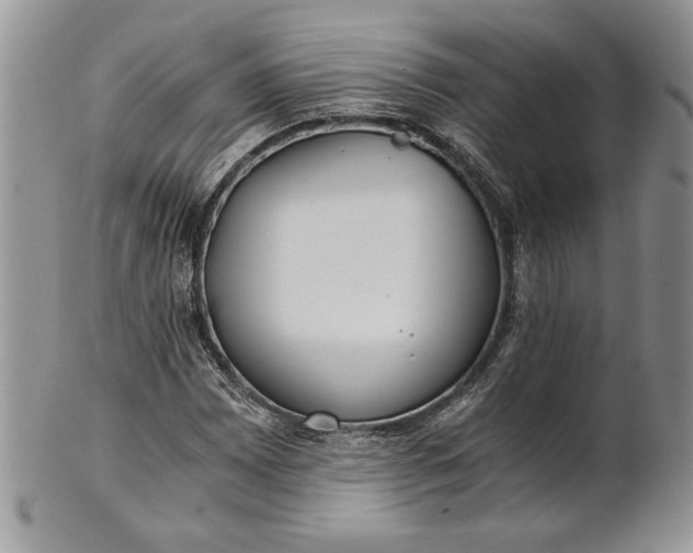 X0000101951065200808011040