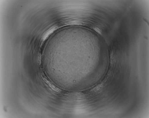 X0000101951067200808011040