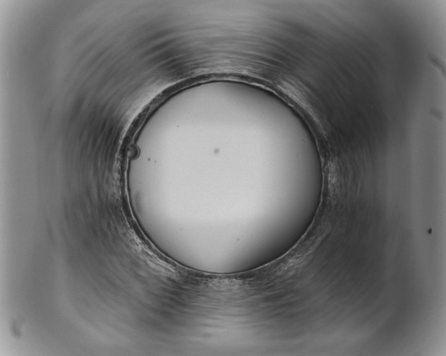 X0000101951068200808011040