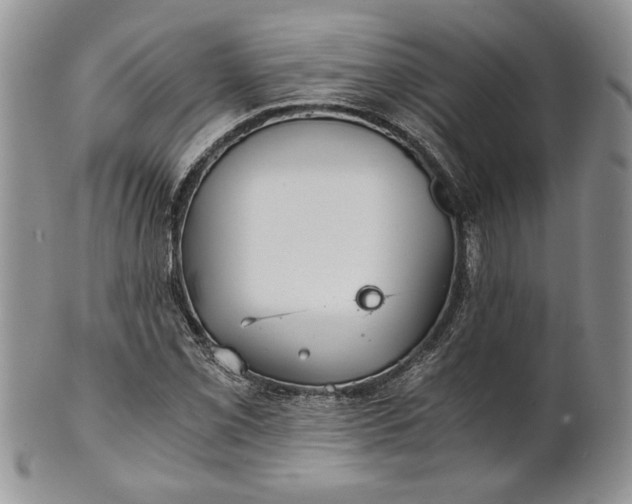 X0000101951069200808011040