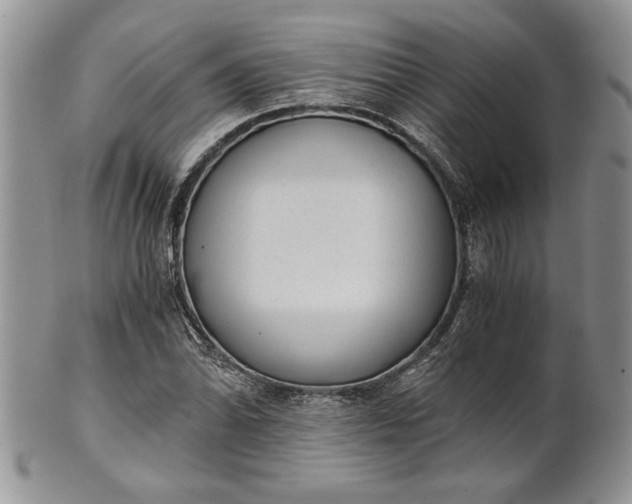 X0000101951070200808011040