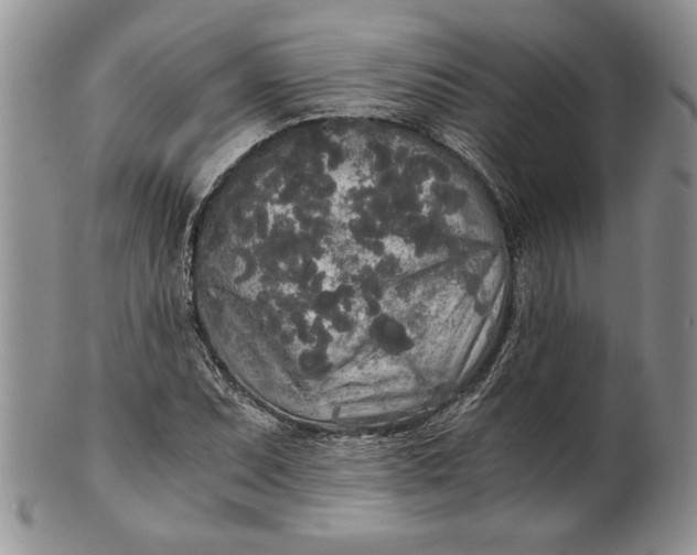 X0000101951071200808011040