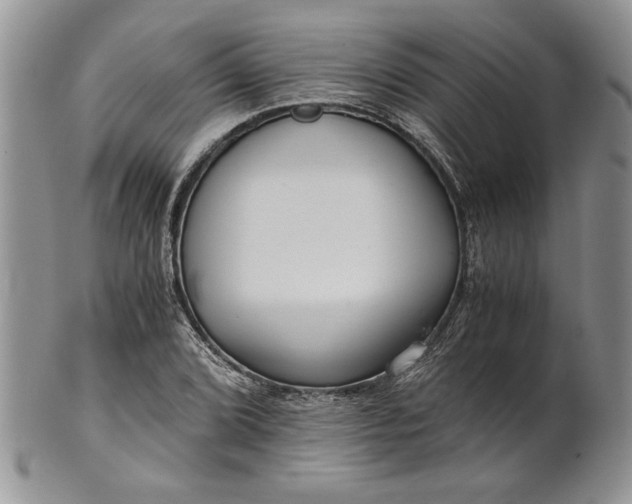 X0000101951072200808011040