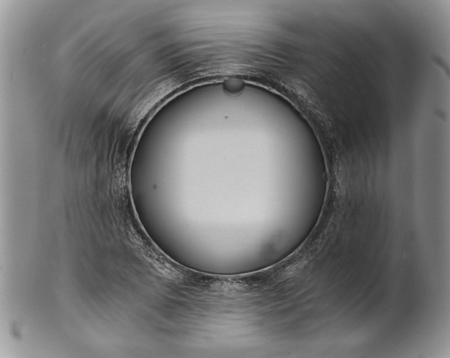 X0000101951073200808011040