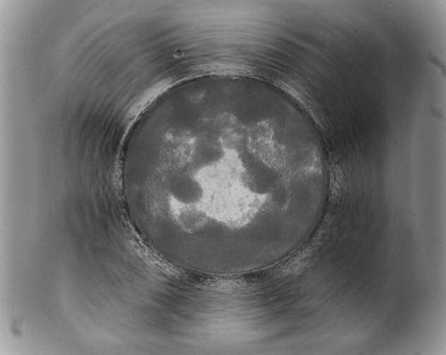 X0000101951074200808011040