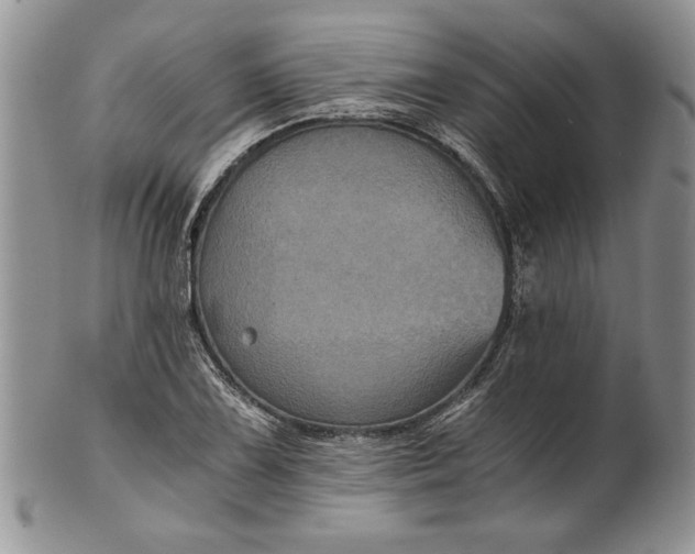 X0000101951075200808011040