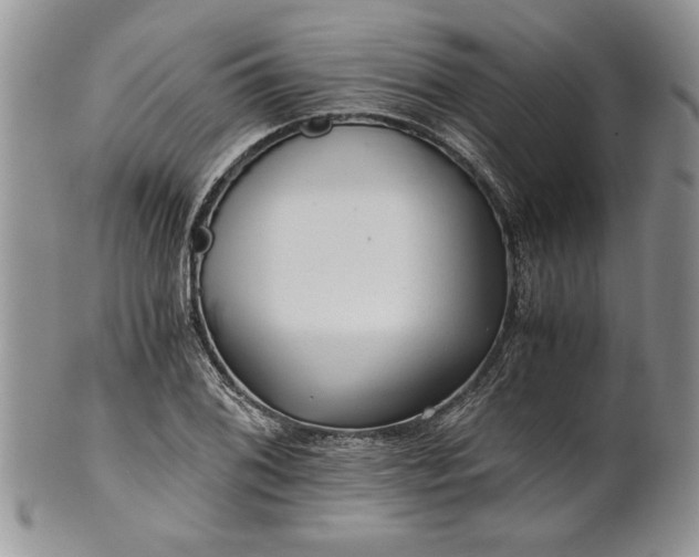 X0000101951076200808011040