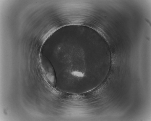 X0000101951077200808011040