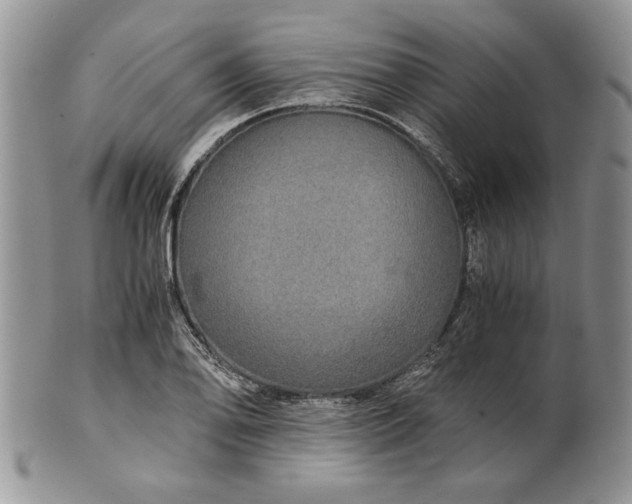 X0000101951078200808011040