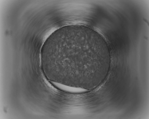 X0000101951079200808011040