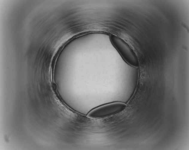 X0000101951080200808011040