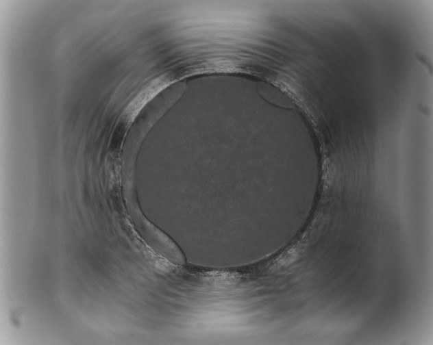 X0000101951081200808011040