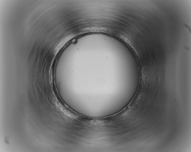 X0000101951082200808011040