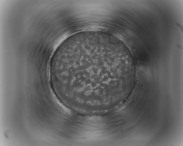 X0000101951083200808011040