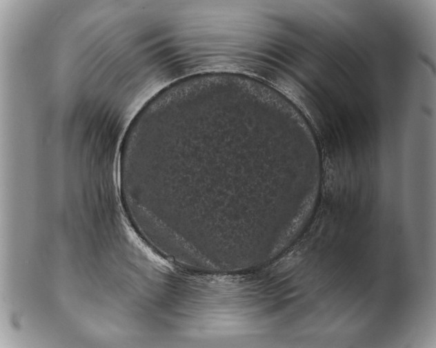 X0000101951084200808011040