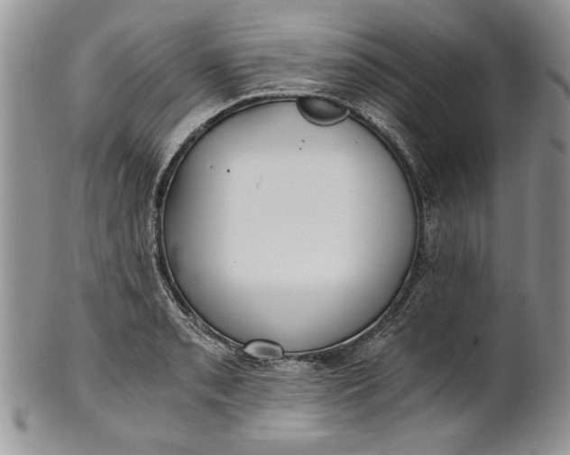 X0000101951085200808011040