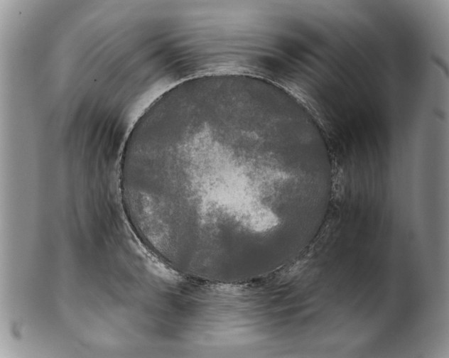 X0000101951086200808011040