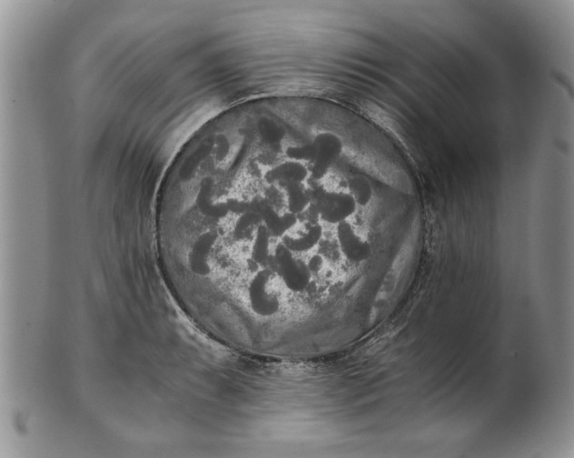 X0000101951087200808011040