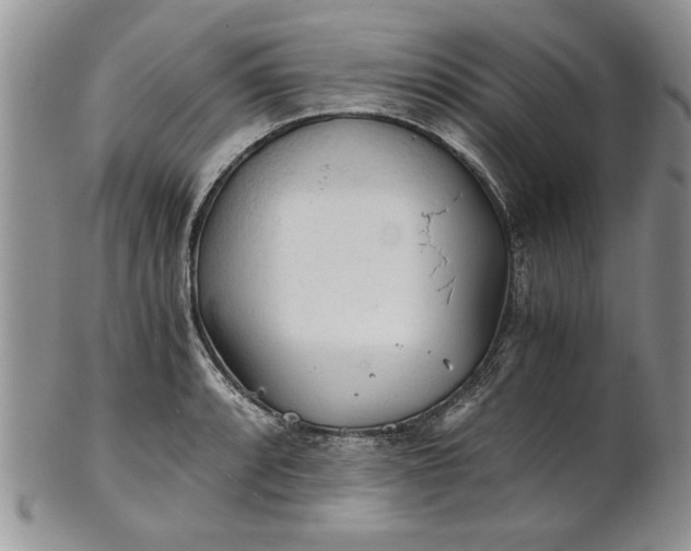 X0000101951088200808011040