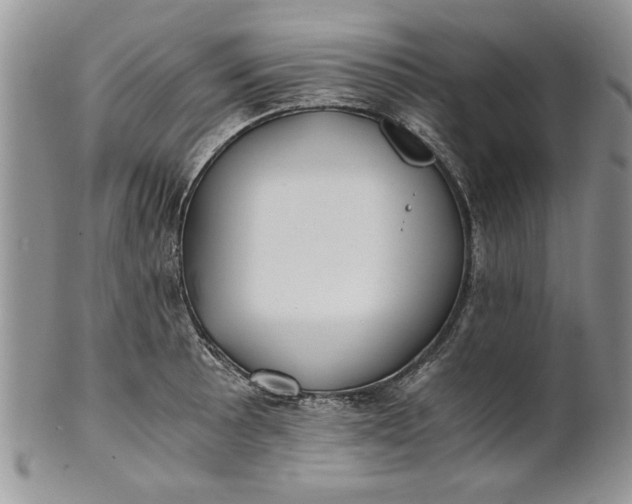 X0000101951089200808011040