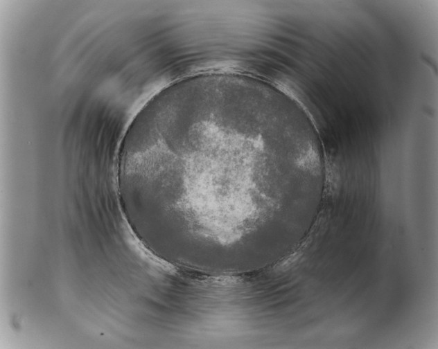 X0000101951090200808011040