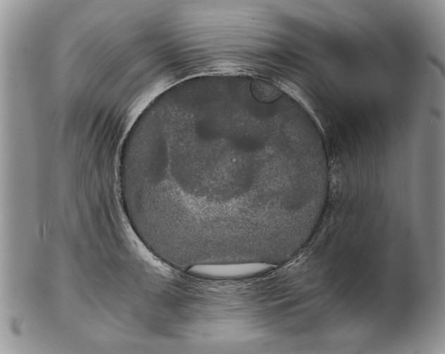 X0000101951091200808011040