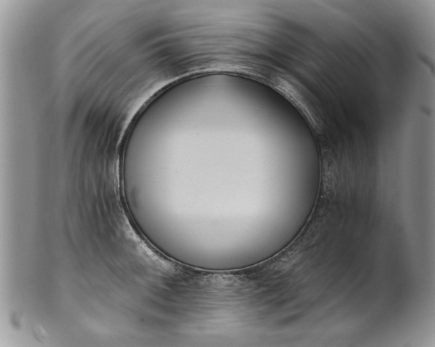 X0000101951092200808011040